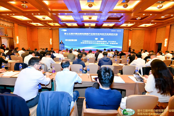 第十三届功能性薄膜产业链市场与技术发展研讨会在南京成功召开