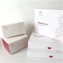 进口胰岛素ELISA试剂盒