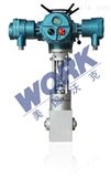 WORK-WCVP进口电动蒸汽调节阀